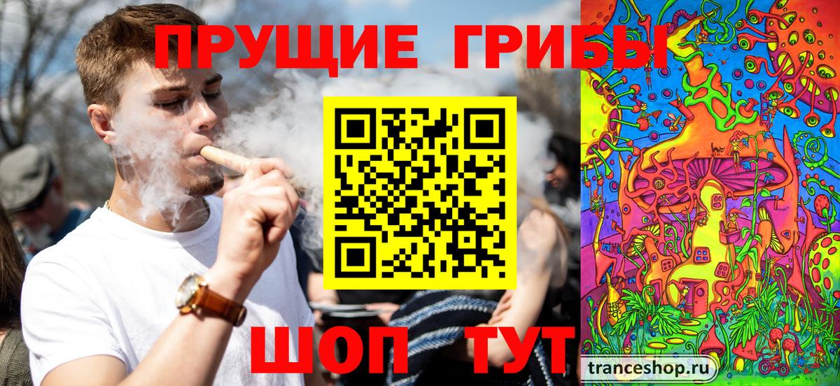Галлюциногенные грибы прущие грибы Старый Оскол