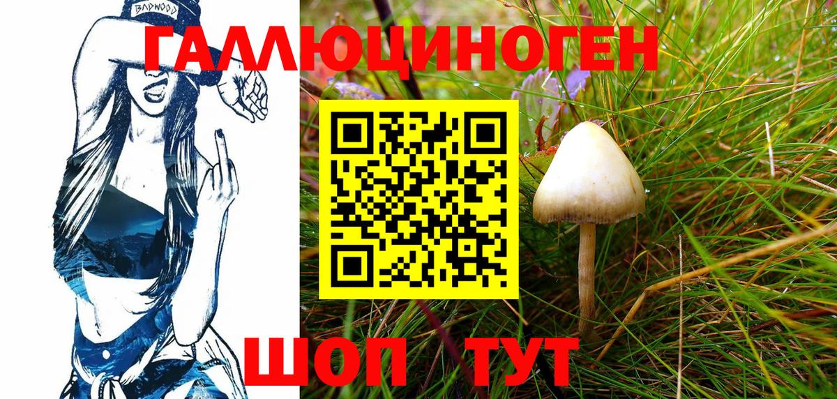 Старый Оскол  Псилоцибиновые грибы Psilocybe  Вход с VPN 